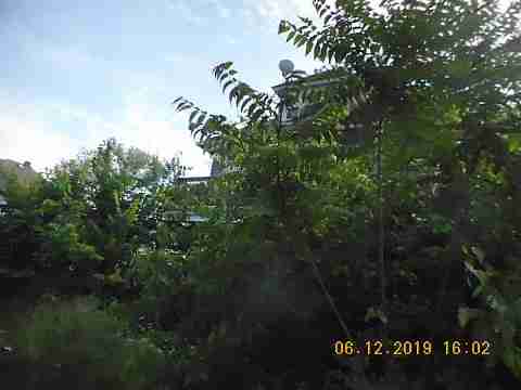 4117 Van Dyke (4)_m.jpg